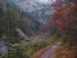 2013-10-26_Schildenstein (060).JPG